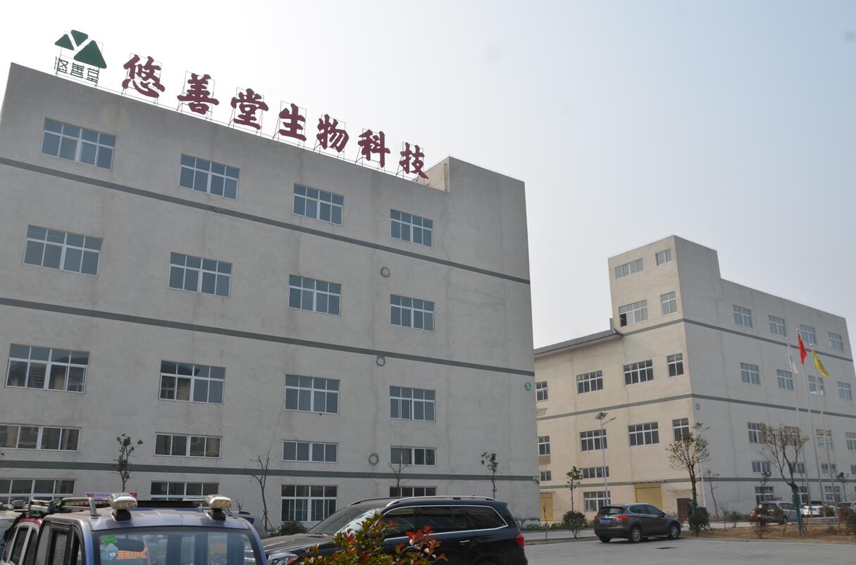 厂房展示