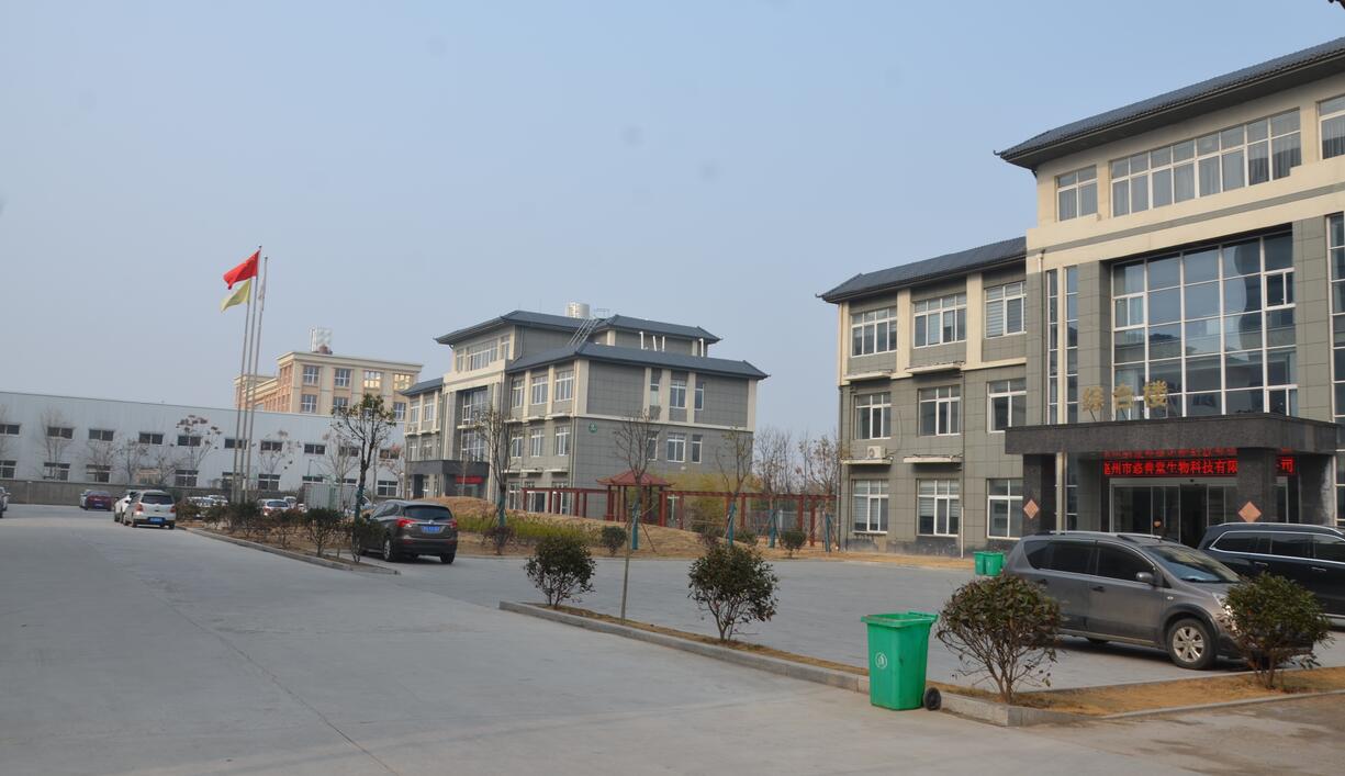 企业风采